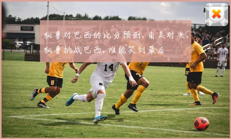 秘鲁对巴西的比分预测,南美对决,秘鲁挑战巴西,谁能笑到最后